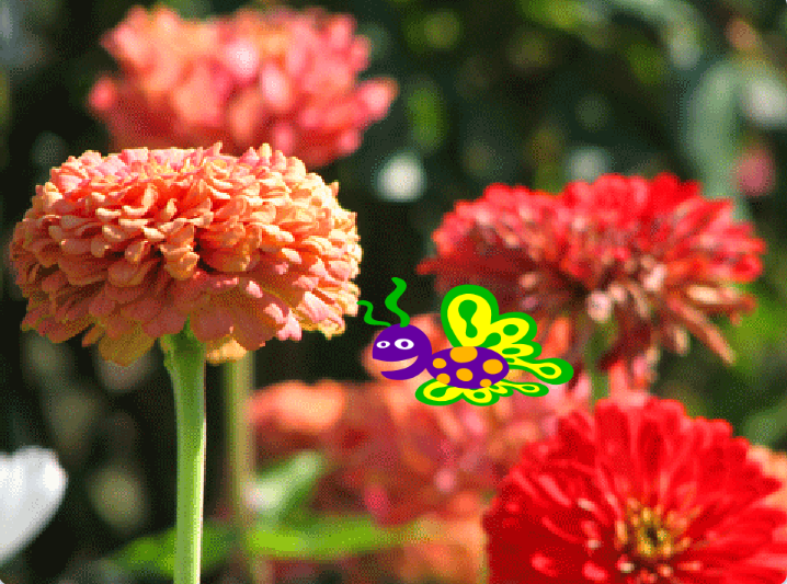 undefined