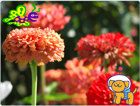 undefined