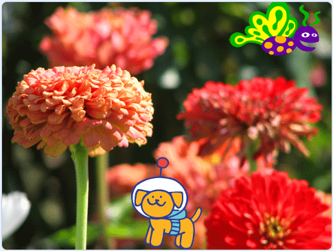 undefined