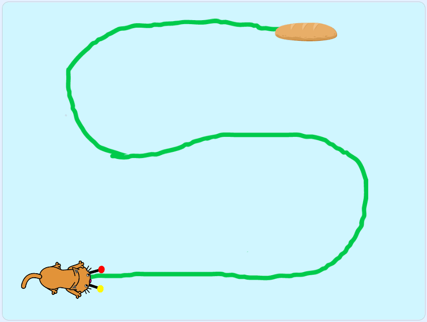 20.png